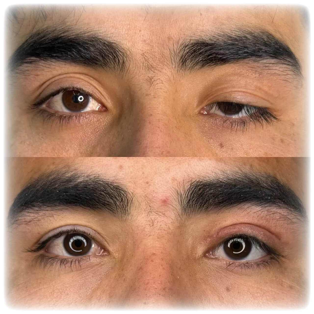 Original Image